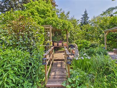 Picture 39